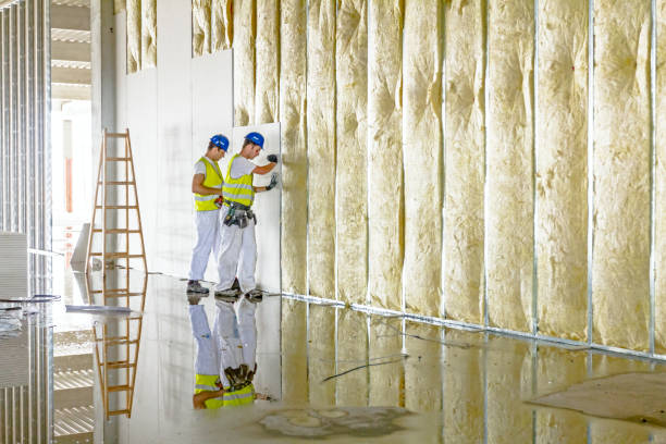 Best Insulation Maintenance and Repair in Gettysburg, SD